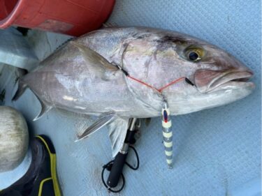 スロージギングのジグでおすすめは？釣果が変わる選び方と名作選