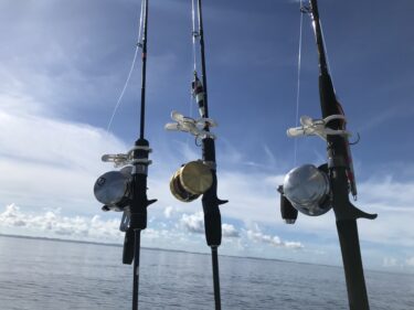 落とし込みvsジギング どっちが釣れるか状況別に解説