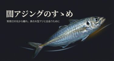 夜のアジングは常夜灯なしで釣る！暗闇攻略のコツとワーム選び