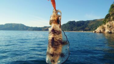 タイラバロッドでイカメタルは代用できる？兼用ロッドの選び方とコツ